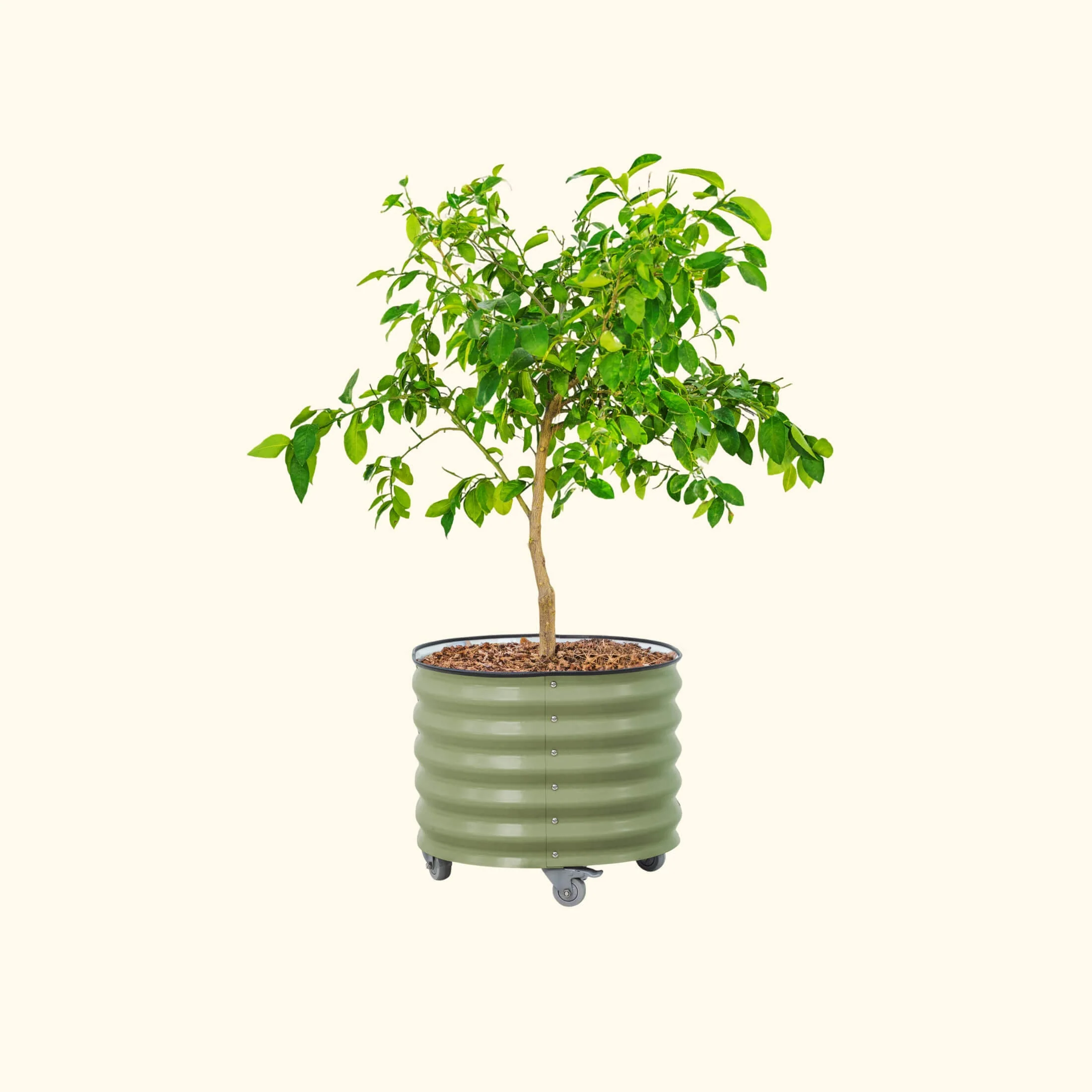 Garden Sale